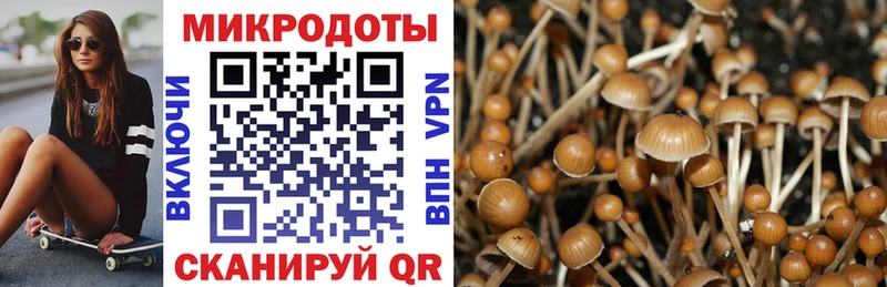 Псилоцибиновые грибы Magic Shrooms Купить Махачкала